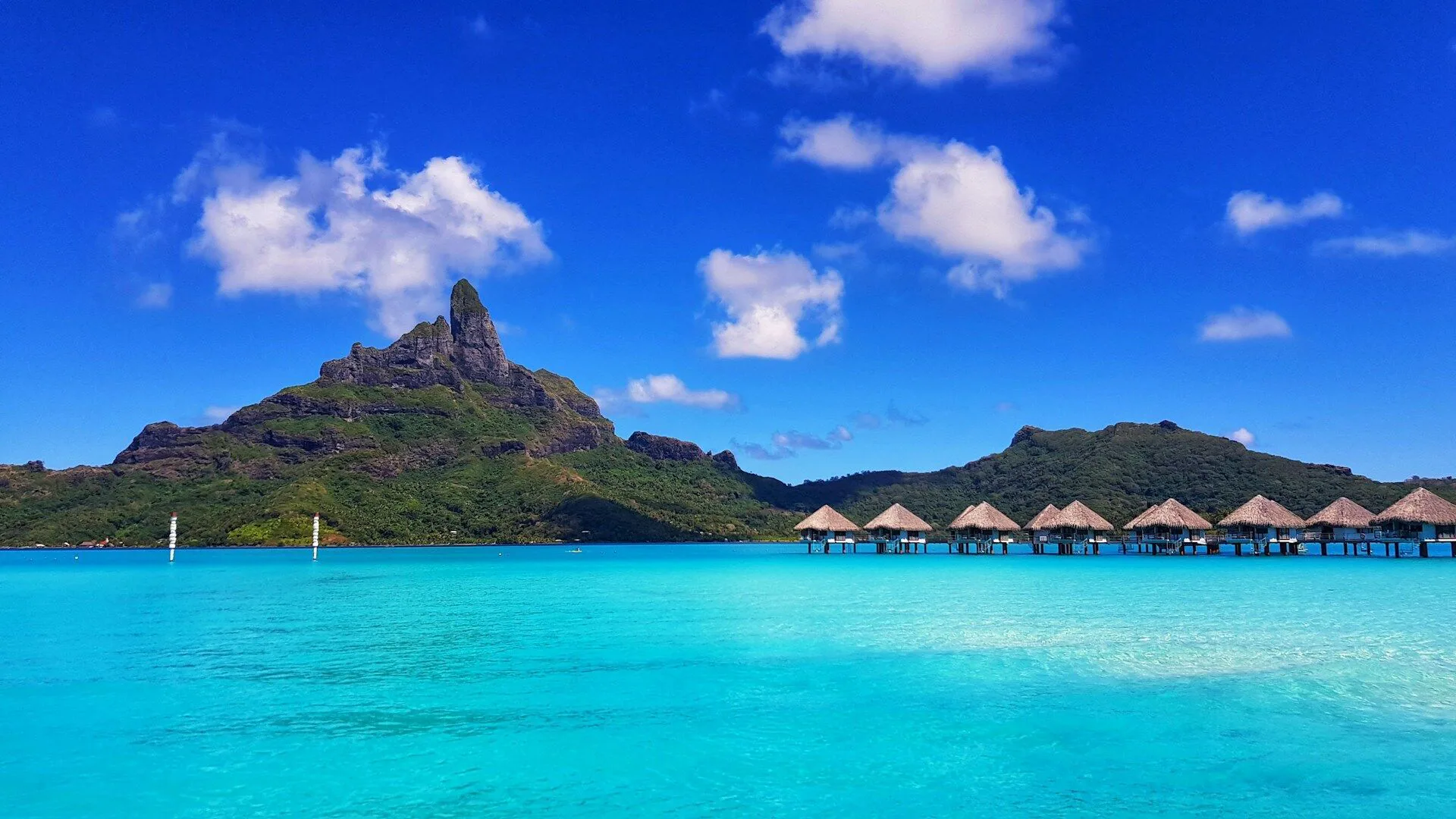 Traducteur maori — traduction professionnelle en maori (te reo Maori)