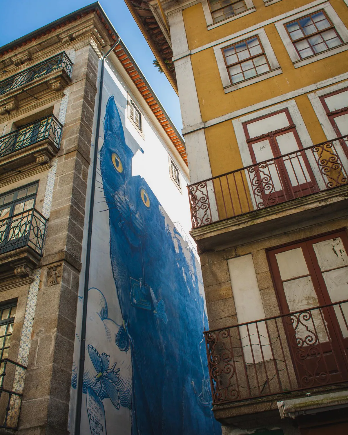 Traduction portugaise par Ecrivus — traducteurs spécialisés et experts